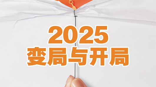 2025国际形势：变乱交织中加速演进